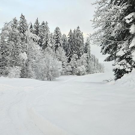 Alpen Studio Ellmau II Luaran gambar
