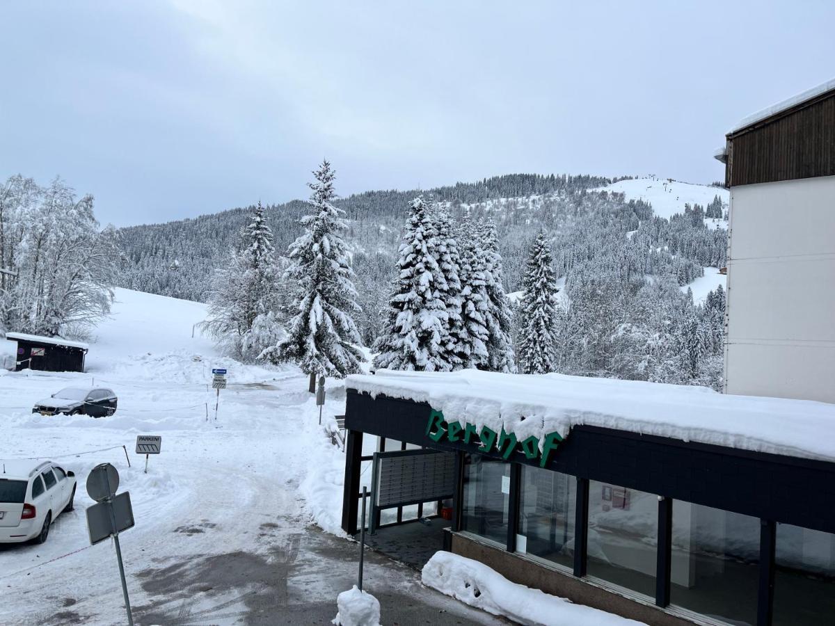 Alpen Studio Ellmau II Luaran gambar