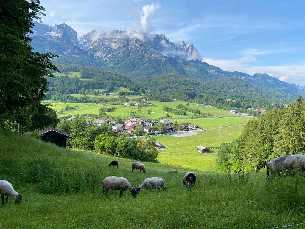 Alpen Studio Ellmau II Luaran gambar