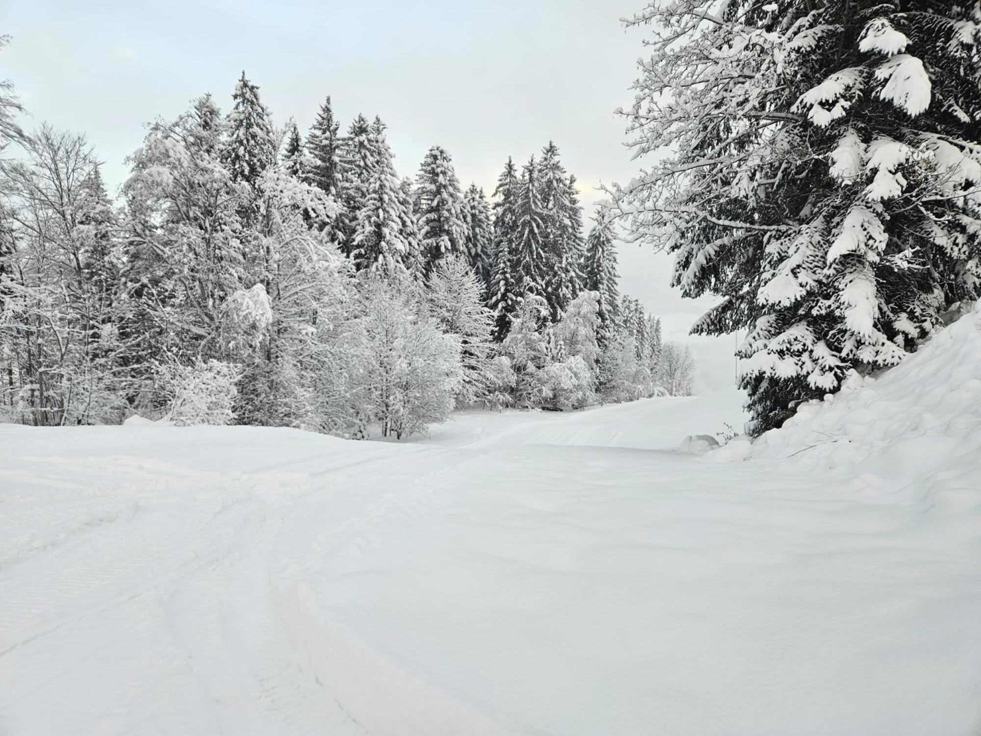 Alpen Studio Ellmau II Luaran gambar